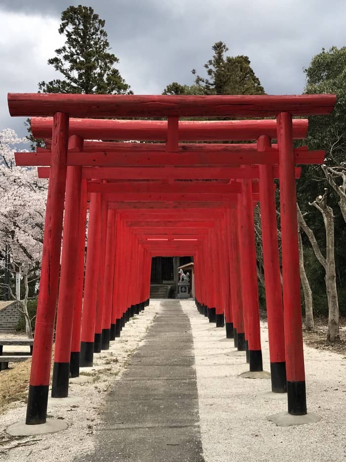 Inari shrine with fox guardian