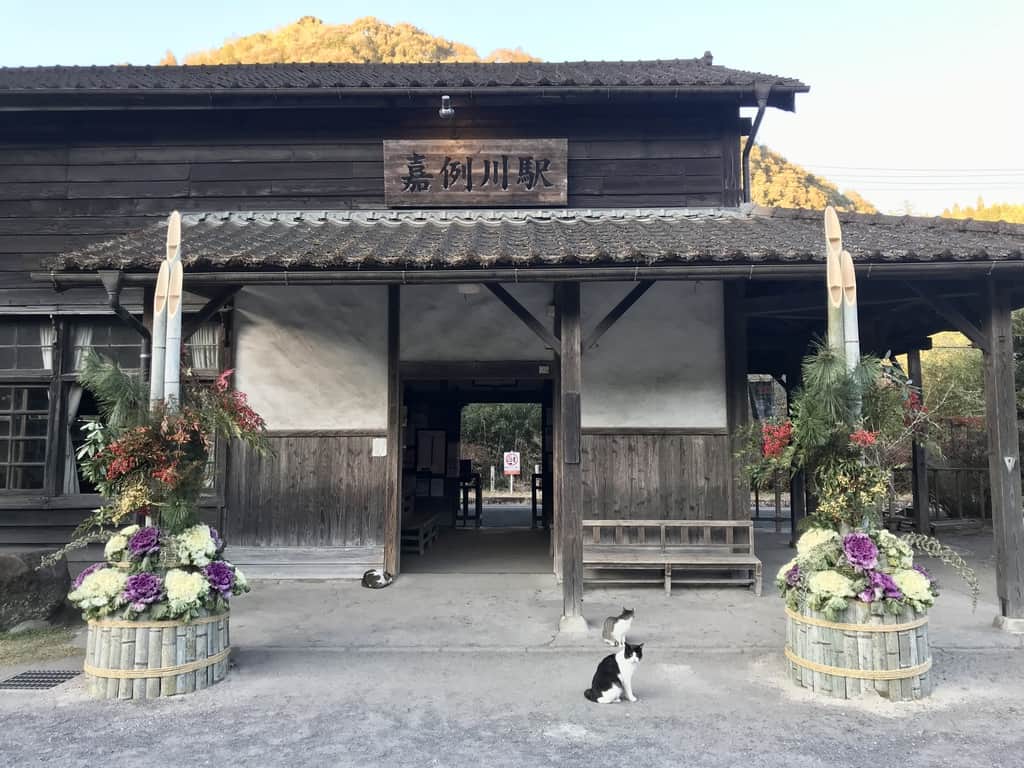 Kadomatsu on either side of the entrance to an ancient train station, with cats.