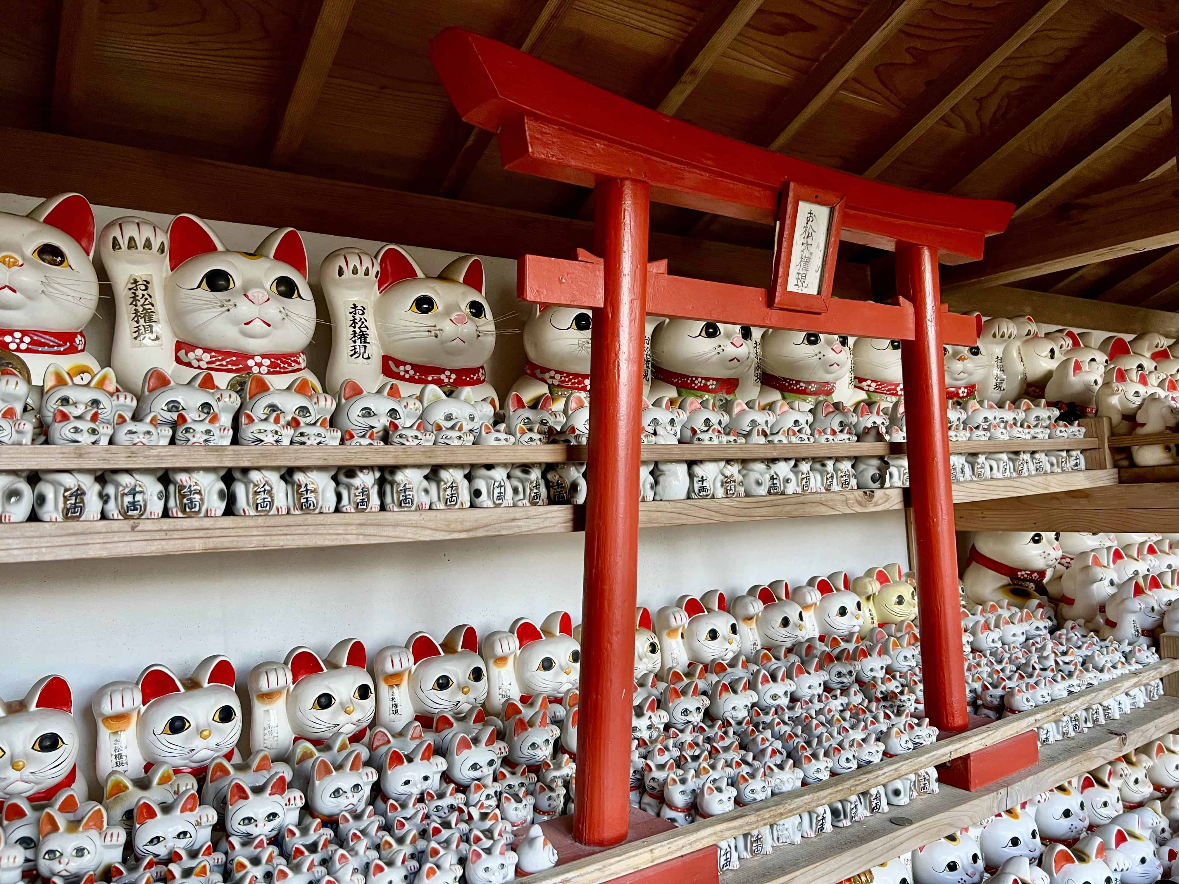 Omatsu Daigongen—The Amazing Cat Temple Of Shikoku