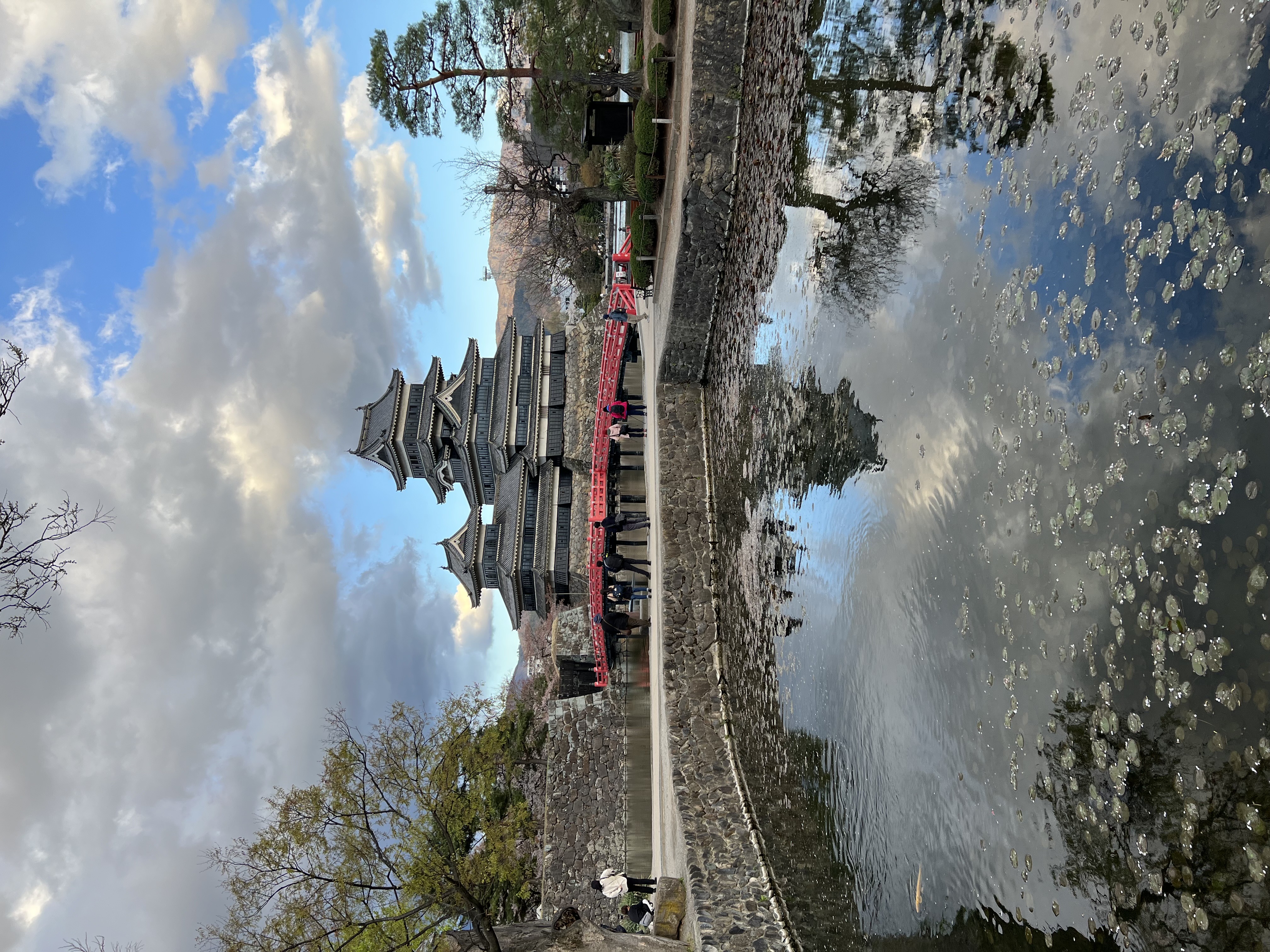 Matsumoto castle reflected in lotus pond.