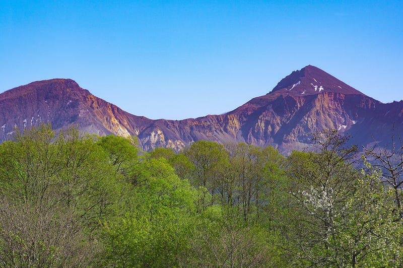 Rugged mountain and blue sky fronted by green treetops.