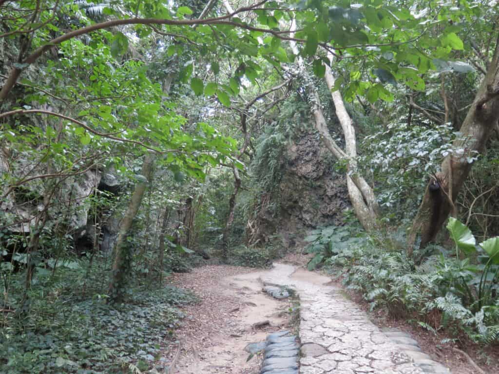 Path leading to hidden Utaki shrine amid jungle.