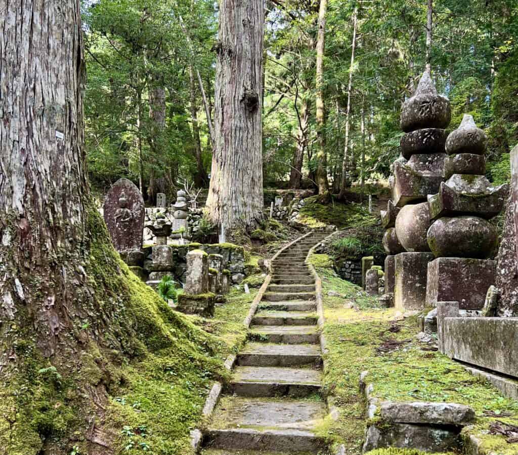 Narrow stone path leading through trees, graves and moss.