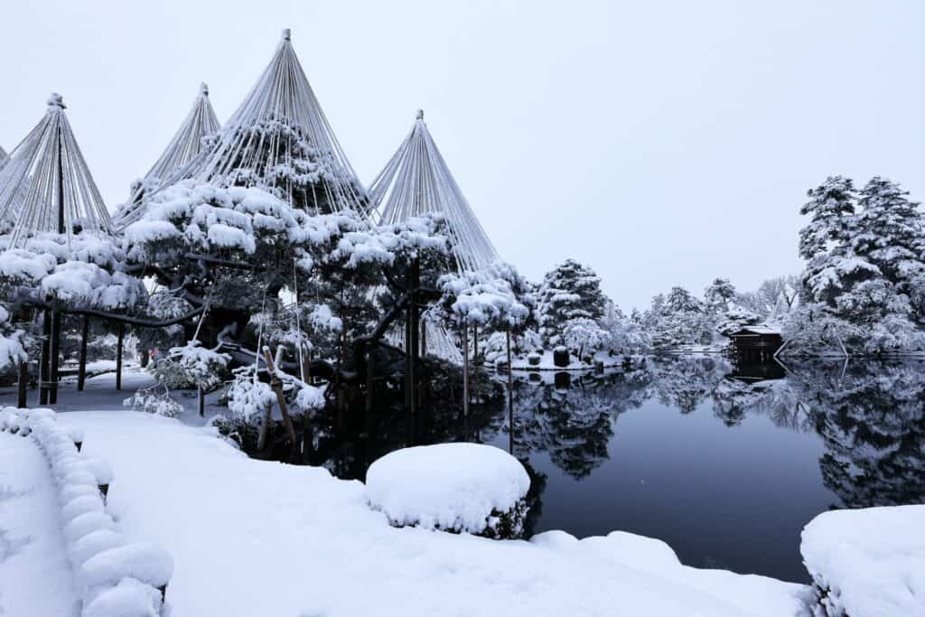 Snow covered trees supported by ropes beside a still pond.