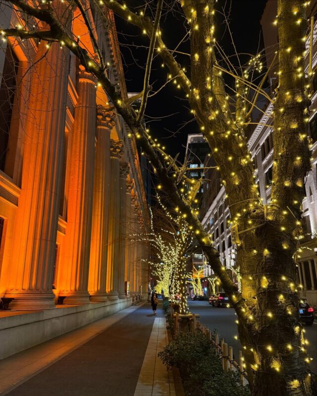 Edozakura dori, Nihonbashi district, Tokyo. 

#illumination #tokyo