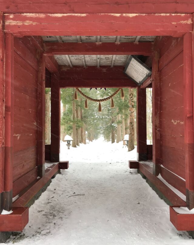 Remember a trip to Togakushi Shrine in Nagano in 2019. Only 3.5 meters of snow fell that year, down from the usual 7 meters. Honshu's northwestern coast has the highest snowfall accumulation of any inhabited place on the planet. It's a winter wonderland.