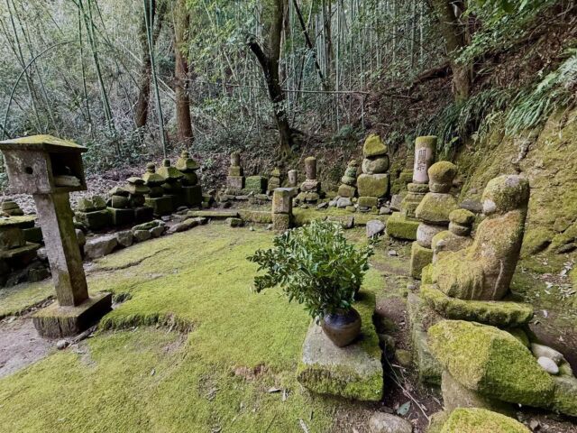 Gathered stones of the former Enfukuji temple down the hill across a river and rice fields. No one knows when it was built over 500 years ago, but it was destroyed in the zeal of the early Meiji era, after the order to separate the Buddhas and Shinto Kami. So much destruction. I’m glad people gathered the once scattered stones. 

#buddhism #ruraljapan